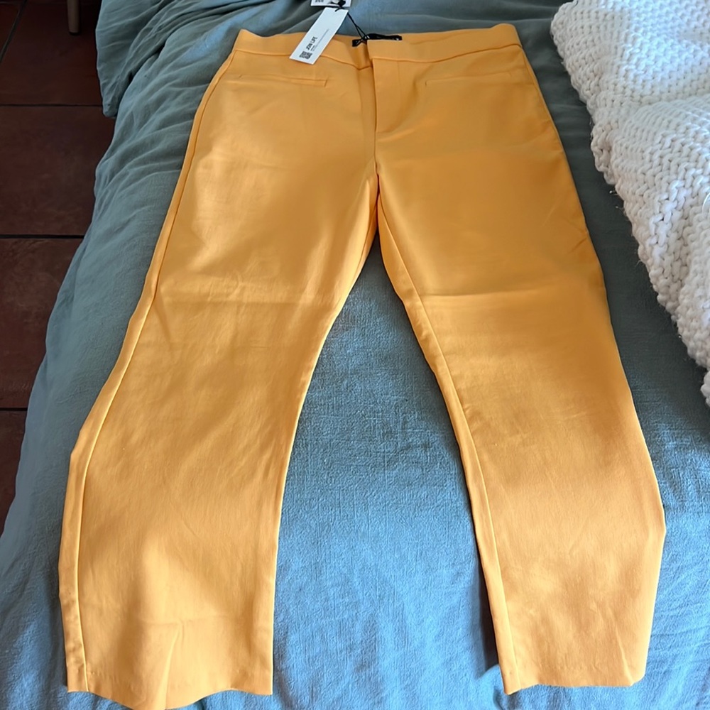 Zara trousers